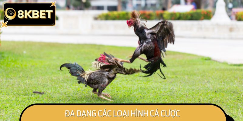 Thỏa sức cá cược đá gà với đa dạng kèo hấp dẫn