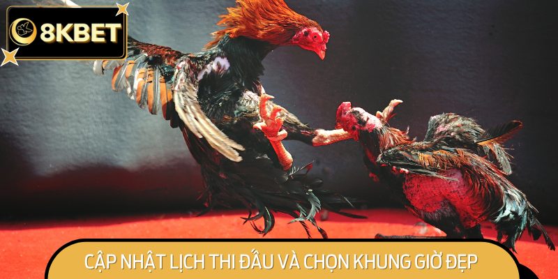 Luôn theo dõi lịch thi đấu và phân tích phong độ của gà trước khi đặt cược