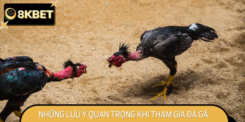 Những điều cần lưu ý để chơi hiệu quả