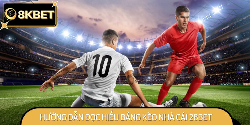 Hướng Dẫn Đọc Hiểu Bảng Kèo Nhà Cái