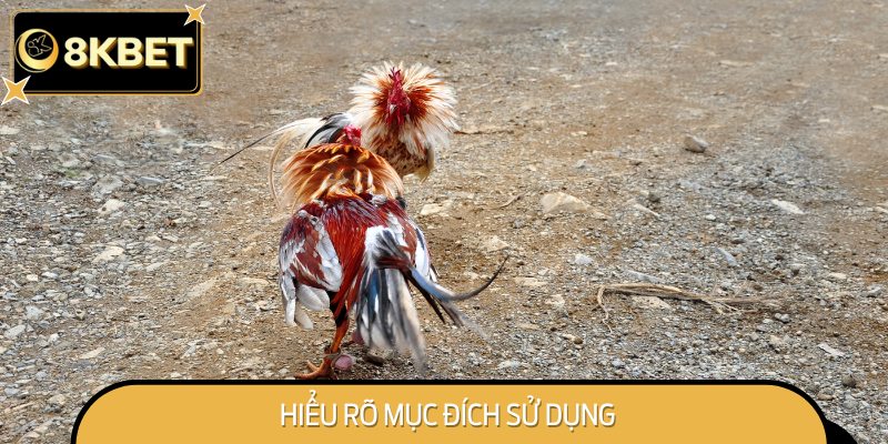 Hiểu rõ mục đích sử dụng
