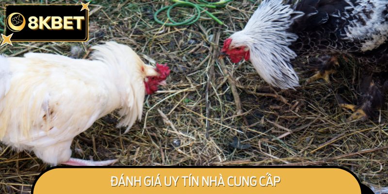 Đánh giá uy tín nhà cung cấp